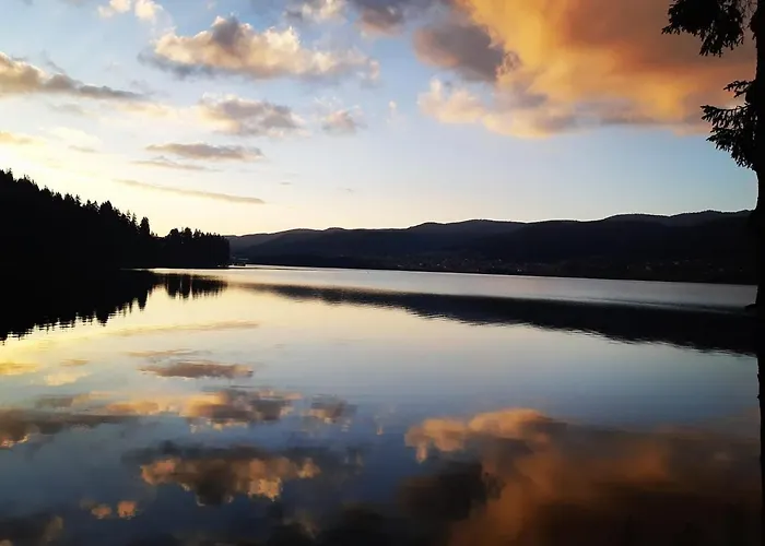 Merdjan Hotel Sarnitsa